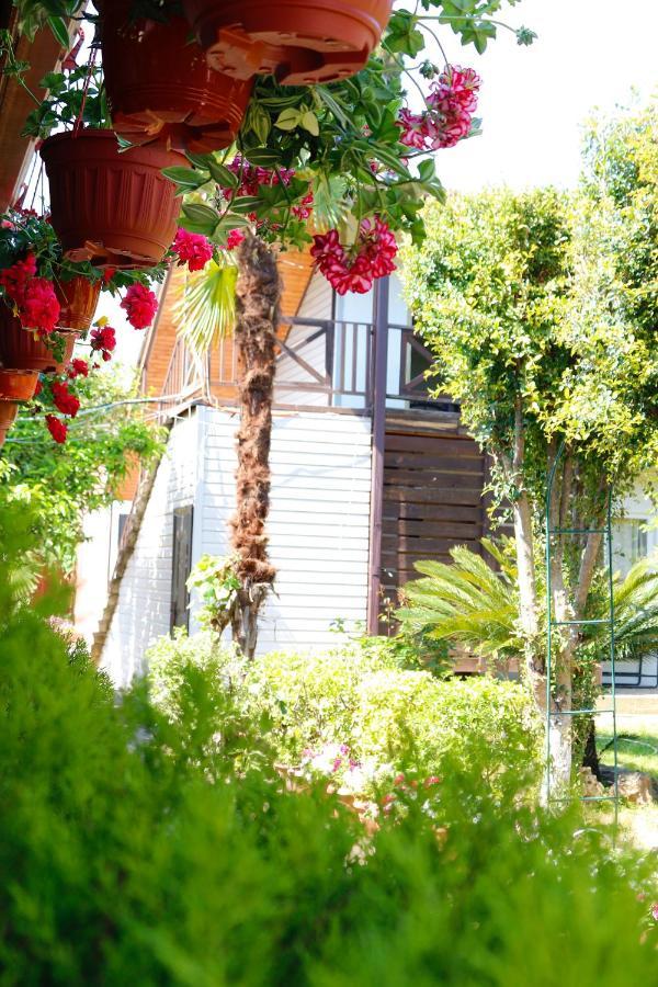 بيزوندا Guest House Alashara المظهر الخارجي الصورة