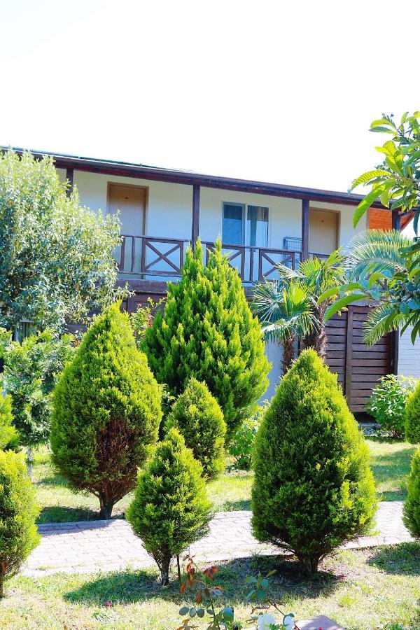 بيزوندا Guest House Alashara المظهر الخارجي الصورة